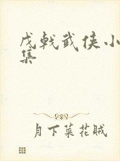 戊戟武侠小说全集封面