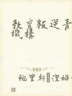 教育叛逆青少年机构封面