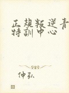 正规叛逆青少年特训中心