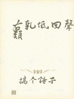 右乳低回声节3类