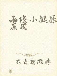 两条小腿胀痛的原因