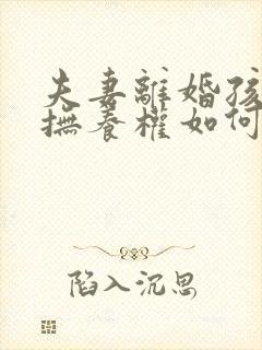 夫妻离婚孩子的抚养权如何判决