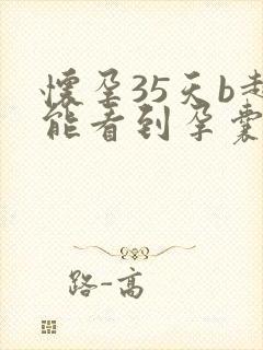 怀孕35天b超能看到孕囊吗