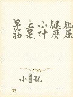 早上小腿肌肉抽筋是什么原因引起的