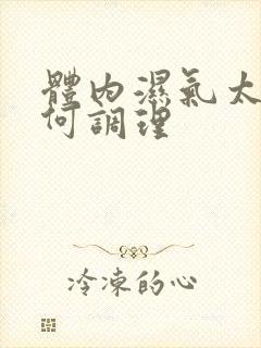 体内湿气太重如何调理