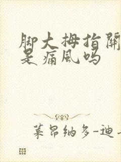 脚大拇指关节痛是痛风吗封面