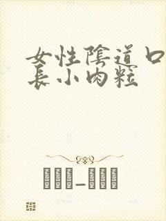 女性阴道口内侧长小肉粒