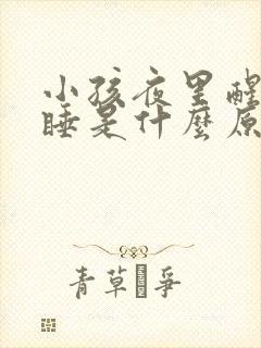 小孩夜里醒来不睡是什么原因