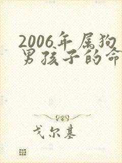 2006年属狗男孩子的命运