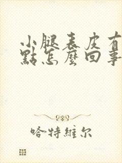 小腿表皮有红点点怎么回事