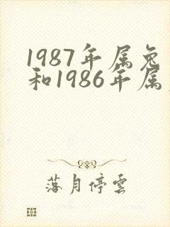 1987年属兔和1986年属虎姻缘怎么样