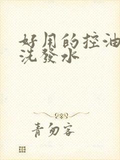 好用的控油蓬松洗发水