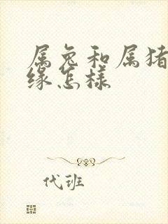 属兔和属猪的姻缘怎样封面