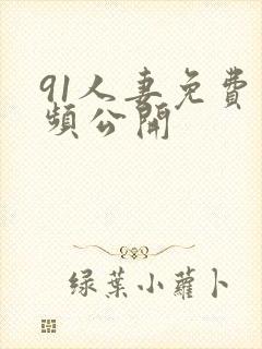 91人妻免费视频公开