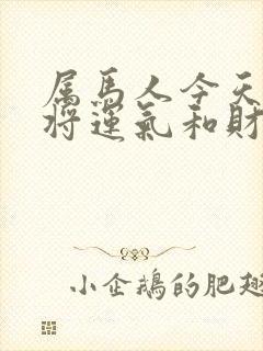 属马人今天打麻将运气和财运