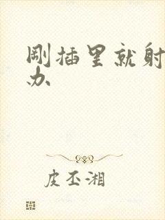 刚插里就射怎么办