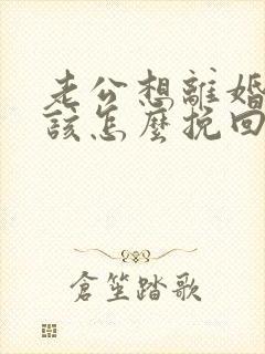 老公想离婚老婆该怎么挽回封面