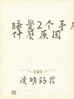 睡觉2个手麻是什么原因封面