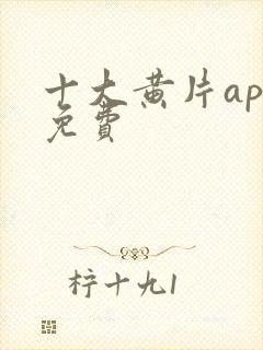 十大黄片app免费