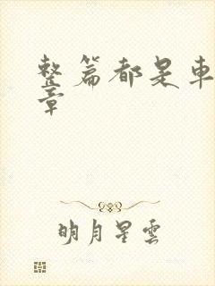 整篇都是车的文章