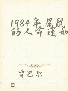 1984年属鼠的人命运如何