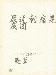 尿道刺痛是什么原因