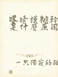 眼睛模糊干涩痒是什么原因引起的