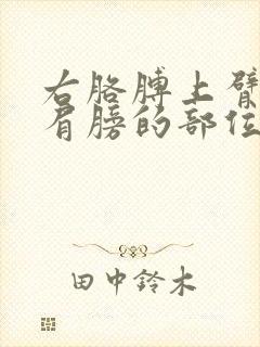 右胳膊上臂靠近肩膀的部位疼