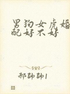 男狗女虎婚姻相配好不好