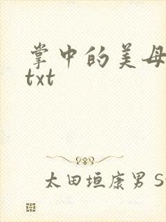 掌中的美母版主txt