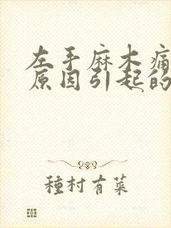 左手麻木痛什么原因引起的