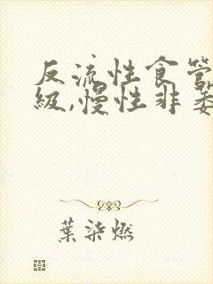 反流性食管炎a级,慢性非萎缩性胃炎封面