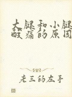 大腿和小腿肌肉酸痛的原因