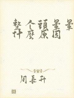 整个头晕晕的是什么原因