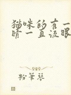 猫咪的有一只眼睛一直流眼泪怎么办