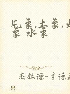 风象,土象,火象 水象