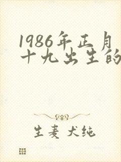 1986年正月十九出生的人命运
