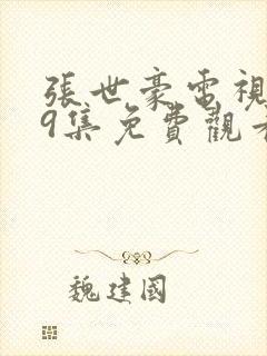 张世豪电视剧29集免费观看