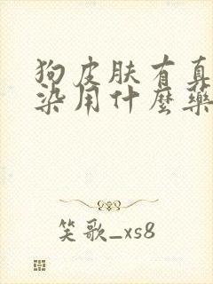 狗皮肤有真菌感染用什么药封面