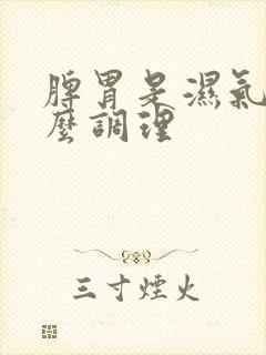 脾胃是湿气重怎么调理封面