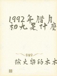 1992年腊月初九是什么命