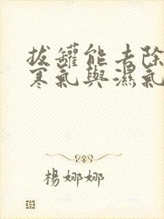 拔罐能去除体内寒气与湿气重