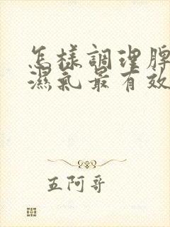 怎样调理脾胃去湿气最有效