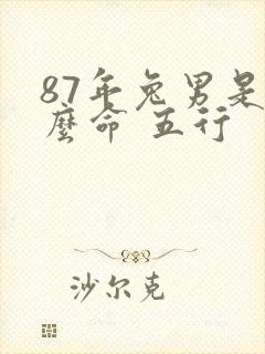 87年兔男是什么命 五行