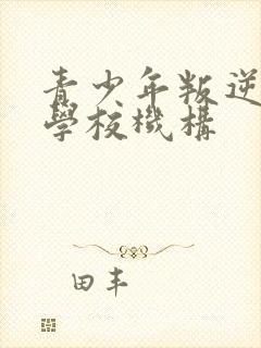 青少年叛逆管教学校机构封面