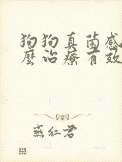 狗狗真菌感染怎么治疗有效果