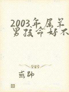 2003年属羊男孩命好不好