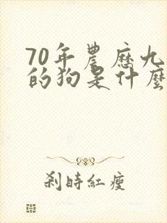 70年农历九月的狗是什么命