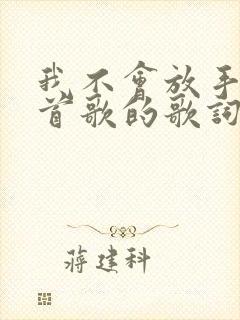 我不会放手是哪首歌的歌词