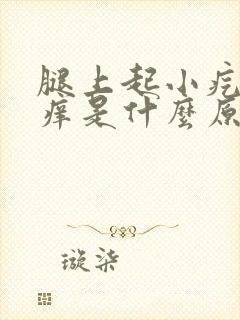 腿上起小疙瘩很痒是什么原因